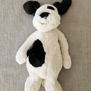 Bashful Black and Cream puppy